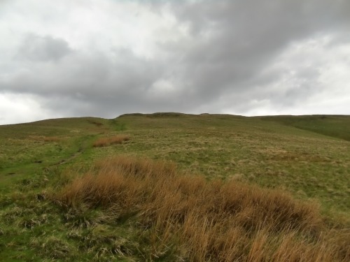  Hill walk in the Ochils from Tillicoultry. Yay the first summit, The Law!  Law Hill is 202 metres h