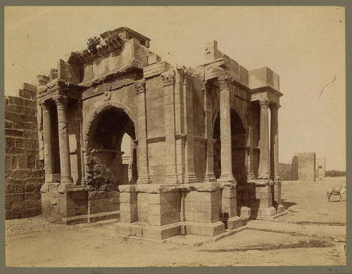 Arc de Triomphe Quadrifrons de Caracalla, Tebessa, Algeria, circa 1860.