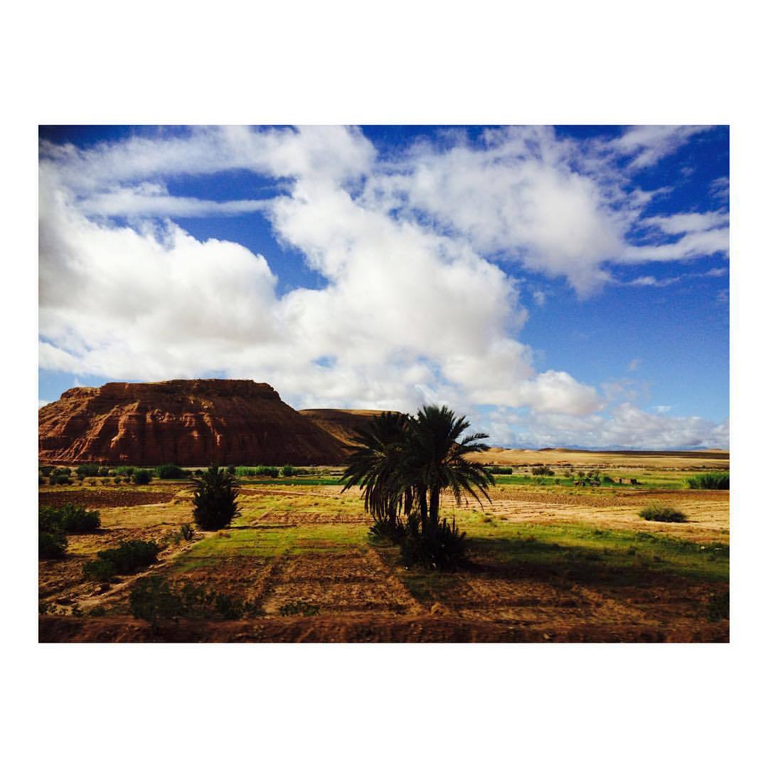 #morocco #ouarzazate #Africa #desert #farming