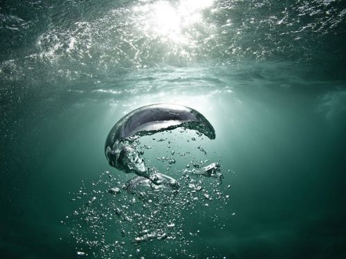 cerulexn:  (source)