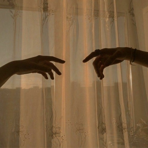 nicolasflorido - NF
