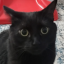 spookymeowmeow