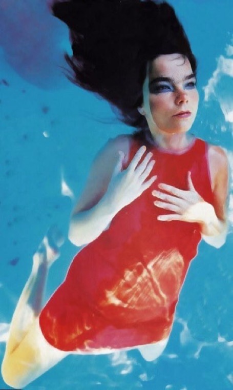 3hx:björk by kate garner, 1995