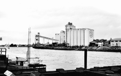 Fishing Boat and Elevator of a Flour Mill, Port of Oakland, California, 1969.