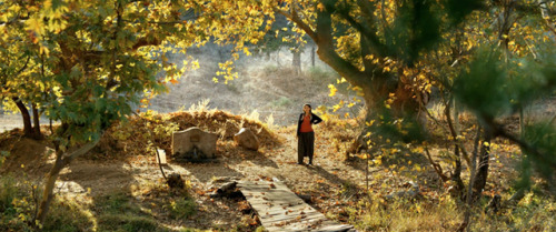 gael-garcia:Ahlat Ağacı (’The Wild Pear Tree’, 2018)directed by Nuri Bilge Ceylancinemat