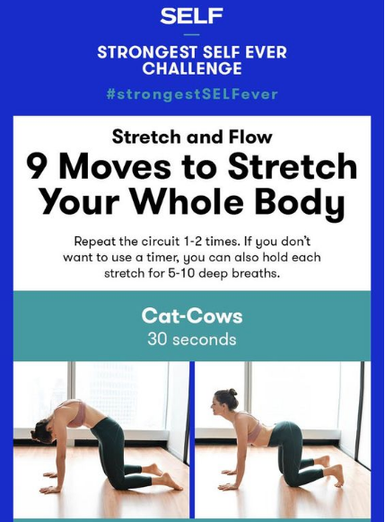 sifu-taichi-kungfu:  9 moves to stretch your adult photos