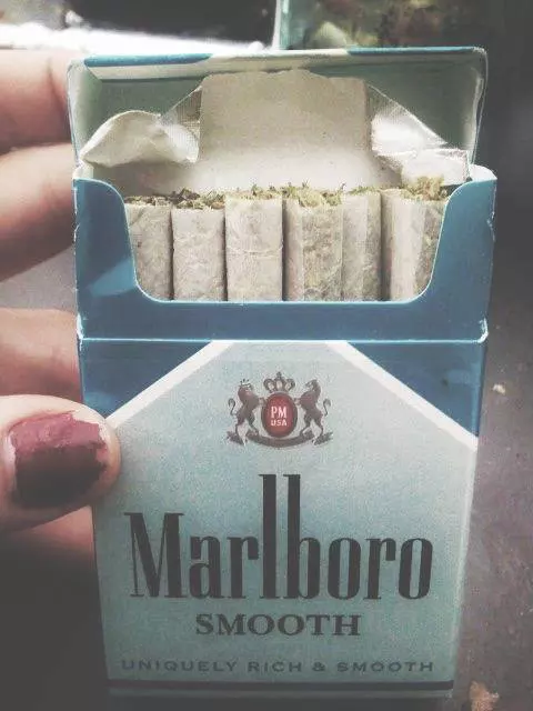 smokethesativa:  FoLLoW ThE sAtIVa