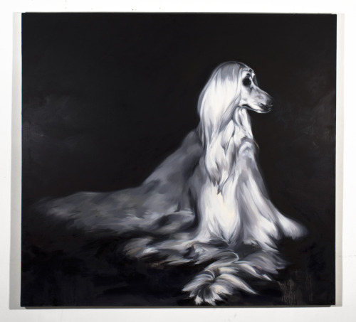 Sam McKinniss, Afghan Hound, 2014, oil/canvas, 52 x 56 inches.
