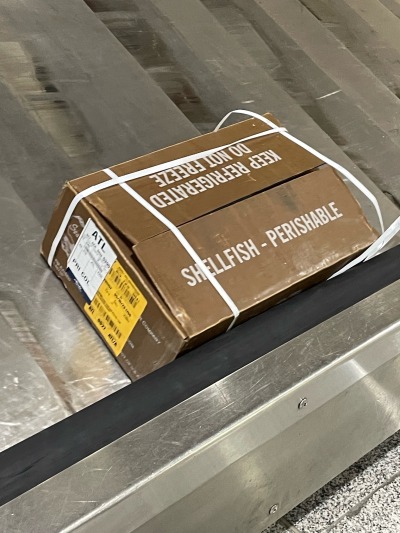 e-clv:Someone at the Atlanta airport checked I kid you not ten cases of fresh oysters on a plane and they’re the only thing at my baggage claim right now???? Not on ice??? I touched one and they’re extremely warm?????Reblog to try the forbidden baggage