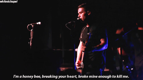 whitestchapel:  Seahaven - Honey Bee (x) 