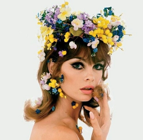 moda365 - Jean Shrimpton photographed by Irving Penn for Vogue...