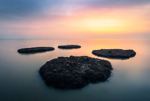 Sea Paw by Brett Gasser Camera: Sony Alpha a7 II Lens: Sony Vario-Tessar T* FE 16-35mm f/4 ZA OSS