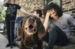 piercethefvck:  uninspiring:  cute puppy feat. dan lambton part 2   Dans smile ugh