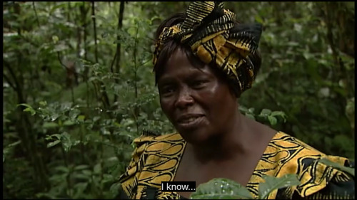 bougainvillieas:Taking Root: The Vision of Wangari Maathai. Filmmakers: Alan Dater, Lisa Merton, 200