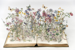 aqua-fae:  Big Spring Mood  Wild Flowers of the British Isle by Su Blackwell 
