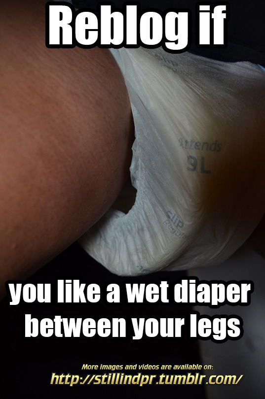 stillindpr: Reblog if you like a wet diaper between your legs  Guilty, guilty, guilty!