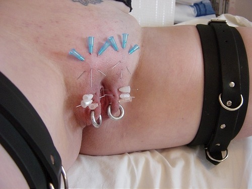 BDSM needle play on a pussy with two rings.