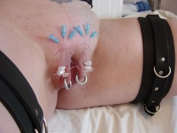 BDSM needle play on a pussy with two rings.