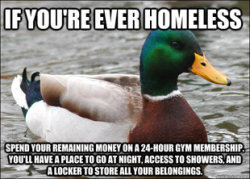 staragus:  babygirlintheshadows:  buffaluffalo:  ghdos:  cardinal-signs:  shaish:  firesalamander12:  I love this duck  I never thought of that this is genius.  huh.  When I was considering homelessness, I already knew I’d be doing this. It makes so