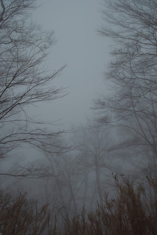 lost isles