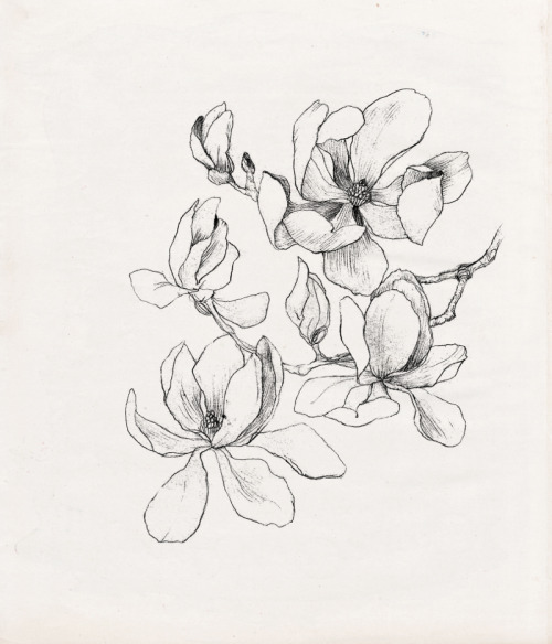 nadezdafavaillustration: Nadezda Fava | MAGNOLIA