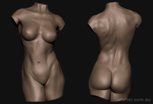 fucktonofanatomyreferences:  fucktonofanatomytutorials:  Uber-fuck-ton of 3D female anatomy references.  (Reblogging ‘cause it’s not showing on my dash.) 