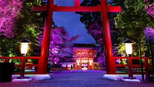  Tadasu no Mori (literally “Forest of Correction”) is said to have kept Kyoto safe from evil for man