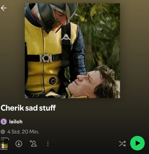 So I Already Mentioned In One Of My Posts That I Have Gone Crazy And Made A Cherik Playlist On Spotify.