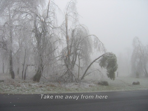 cup-of-pale:     ♡♡♡ follow for more post like this one ♡♡♡   