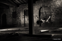 bondageisnotacrimeparis:  au vivre de l’art “Bordeaux” edelmodele Photo &amp; shibari : Amaury Grisel