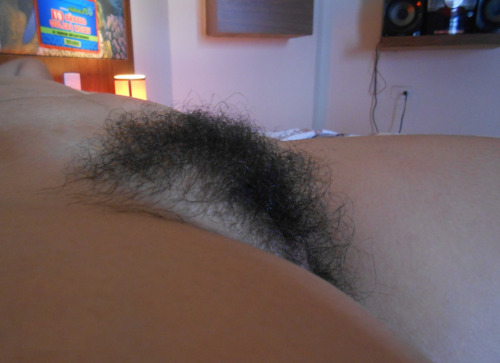 iloveyourbush:  Moglie Figa Pelosa (trans: wife hairy bush cunt) 