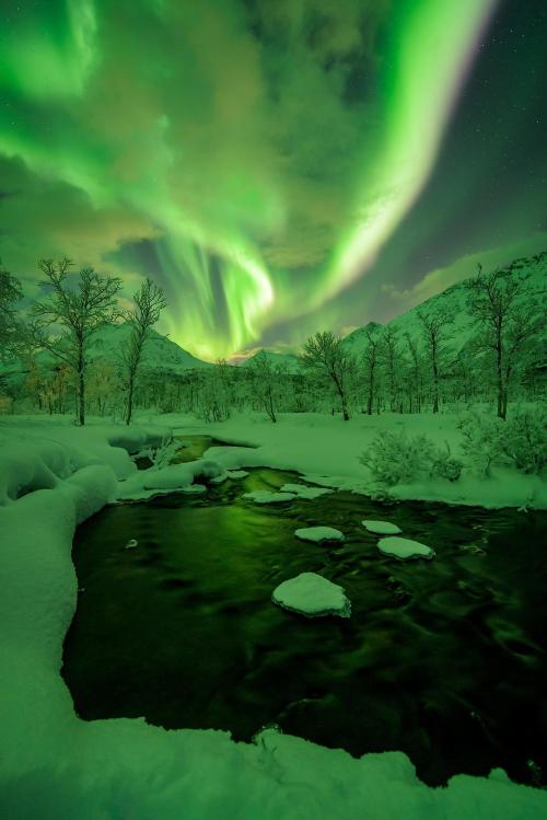 amazinglybeautifulphotography:  Green valley in Northern Norway, December 2017 [OC] [1367x2048] @mpxmark - Author: mpmark on reddit