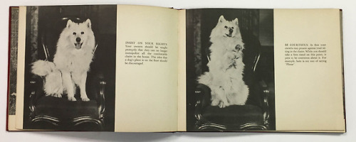 Sniejok the Samoyede dog was three years old when he wrote this book to teach dogs how to train thei