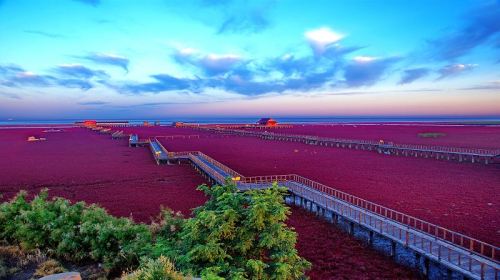 This is the Red Beach “Panjin” located in China. The pictures weren’t edited and a