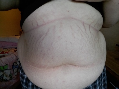 syralpanx:Belly pics! More belly pics! Some old, some new, bottom ones from my first stuffing!