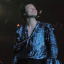 harrysunflower6