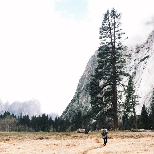 danielodowd:  http://jhenriquez.vsco.co/