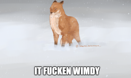 It fucken WIMDY ╭────────────────────────────── haha funny