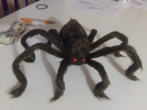 I Bought A Prop Tarantula, Named Him Todd, Styled His Hair, And Made Him A Top Hat.