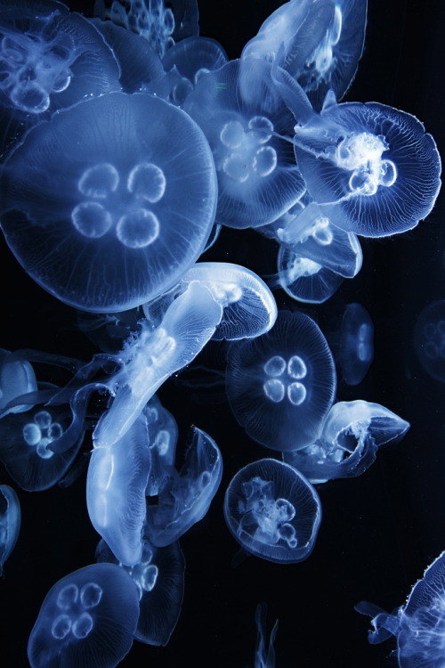 r2–d2:  Untitled by (Ramin Hossaini) 