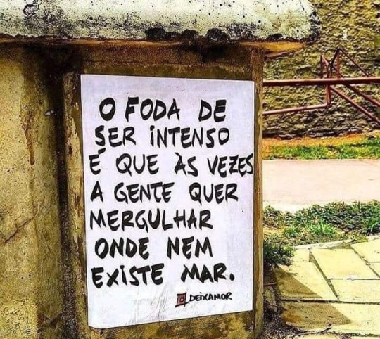 seu-bobo-da-corte:  