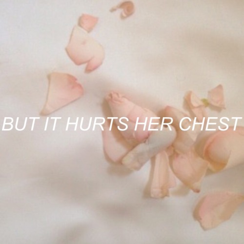 flvwerinq:She Lays Down // The 1975