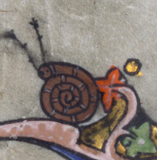 discardingimages:snailfight and an indifferent rabbitbook of hours, Flanders 14th centuryWalters Art