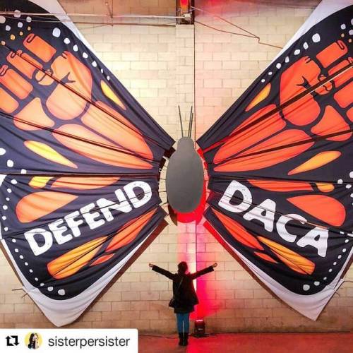 #Repost @sisterpersister (@get_repost)・・・This migration butterfly by @brownissues hangs at @intoacti