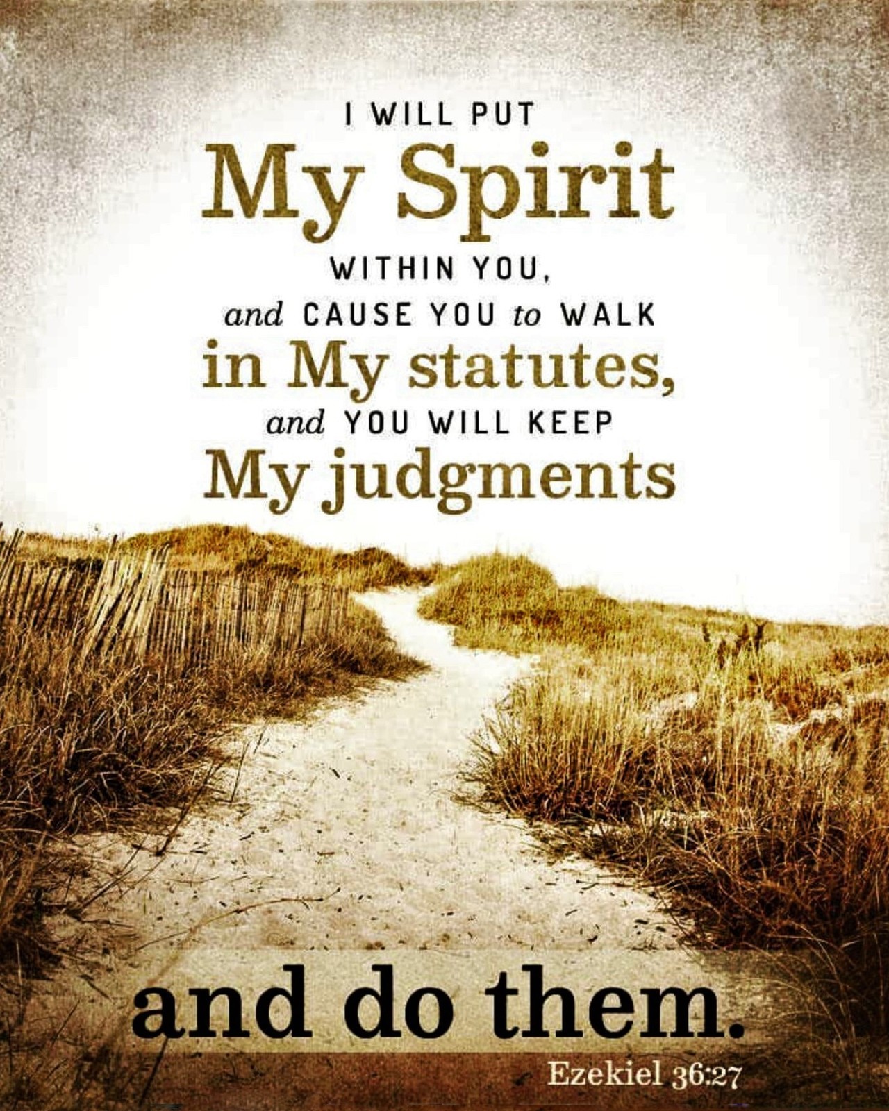 The Living Ezekiel 36 27 NKJV I Will Put My Spirit Within 