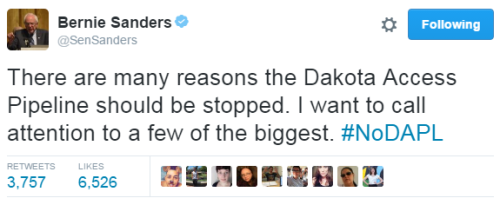 blackness-by-your-side:  It IS their land, by treaty, after all. And Bernie is the only one who doesn’t want to listen to “both sides” he just openly supports Native Americans.   Bernie left out #6) the white residents of Bismarck had the exact