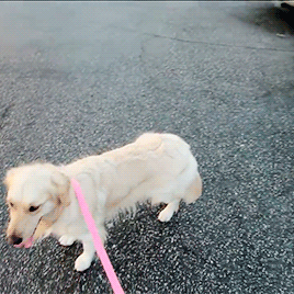 markired:  chica (ﾉ◕ヮ◕)ﾉ*:･ﾟ✧