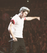 teamnhoran:  Niall Horan Alphabet: M - Madison Square Garden 