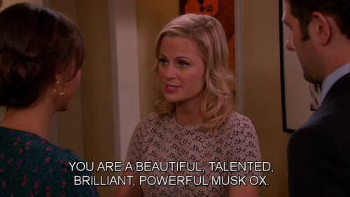 leslie knope