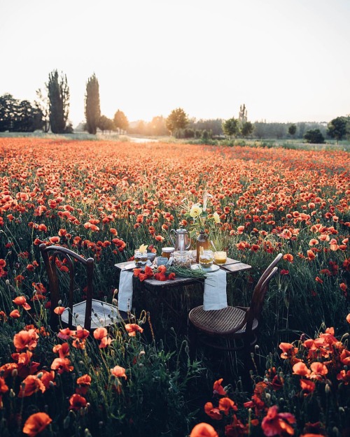 oldfarmhouse: Summer vibes www.instagram.com/_ourfoodstories_/